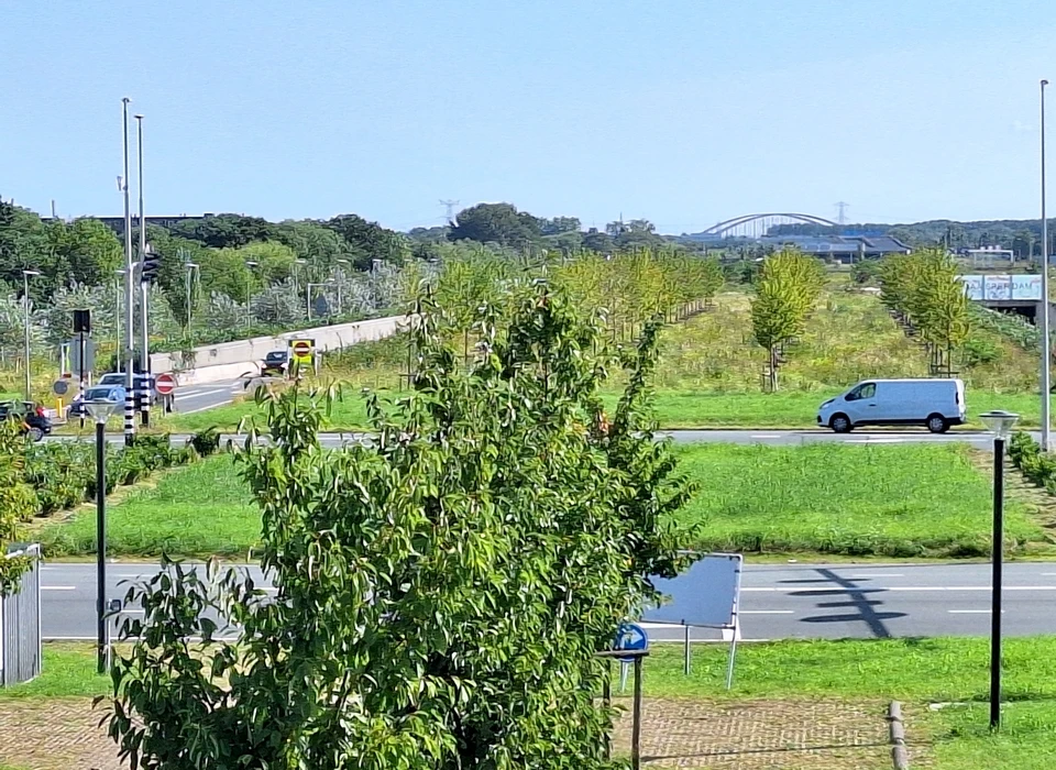 Brasapark kersenboomgaard bij Gooiseweg (2024)