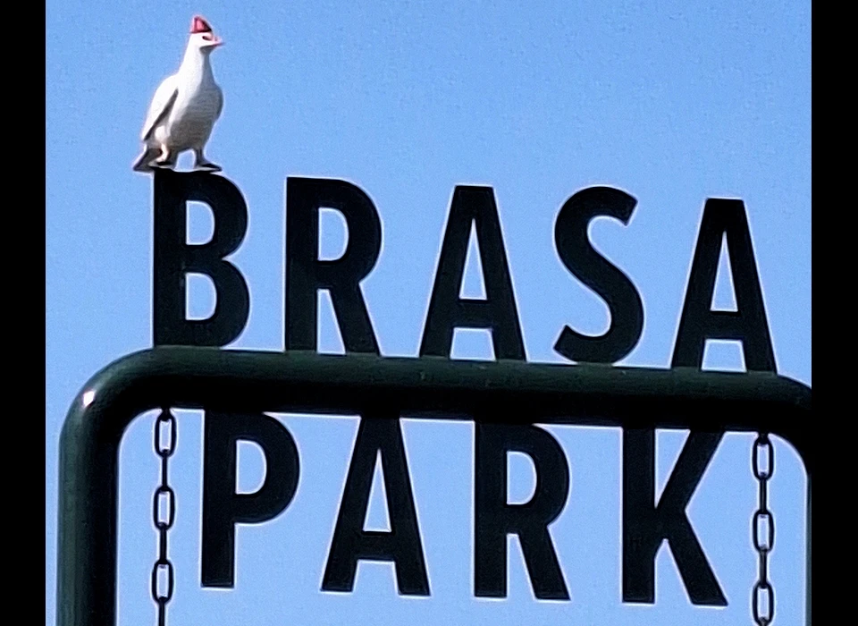 Brasapark naam op Schommelbank bij Cantaplein (2024)