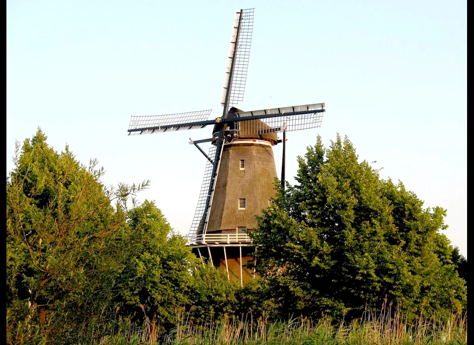 Haarlemmerweg 465 molen De Bloem (2007)