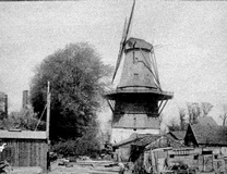 molen de bloem