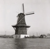 molen de bloem