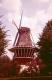 molen de bloem