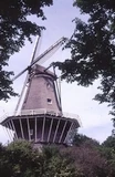 molen de bloem