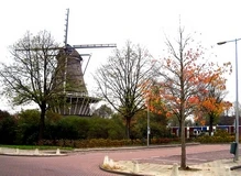 molen de bloem