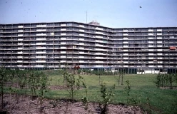 Huigenbos, 1976