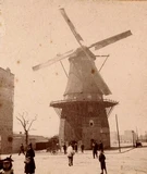 molen de victor