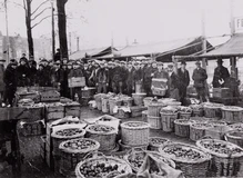 appelmarkt