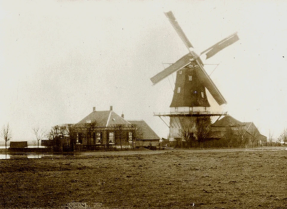 Molen De Kraai te Westbroek (1910)