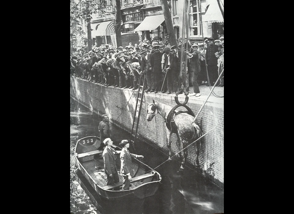 Leliegracht paard te water, gered met toestel van Sinck (1929)