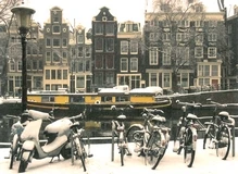 singel winter